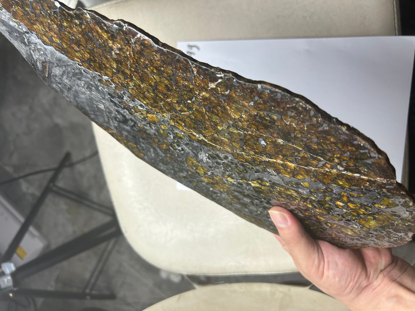 Seymchan Pallasite Meteorite Slice 1120g (200×300mm) — Top-Grade Olivine “Gems in Meteorites” | Meteorite for Sale