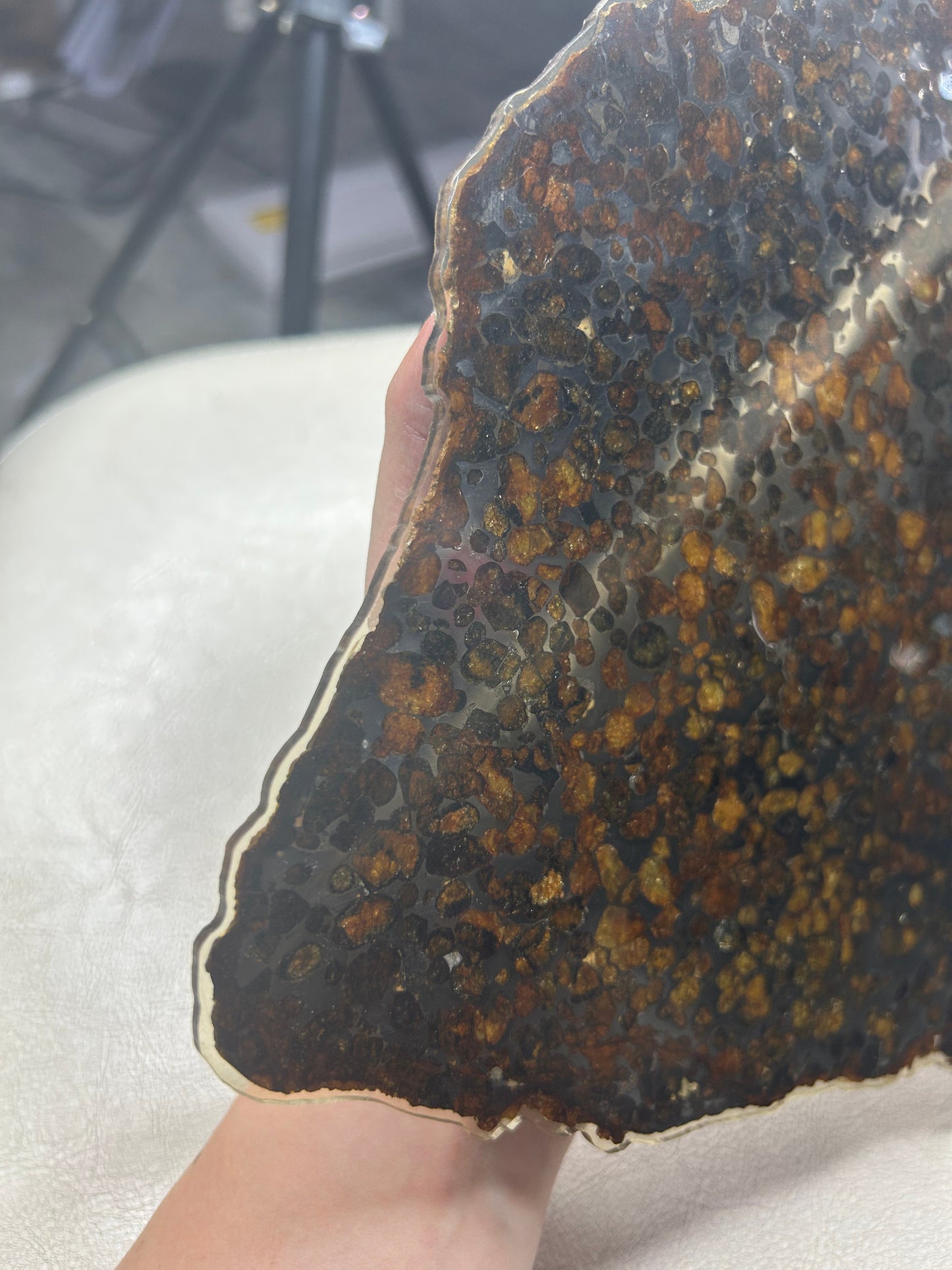 Sericho Pallasite Meteorite Slice 299g (200×220×3.5mm) — Golden Olivine “Gems in Meteorites” | Meteorite for Sale