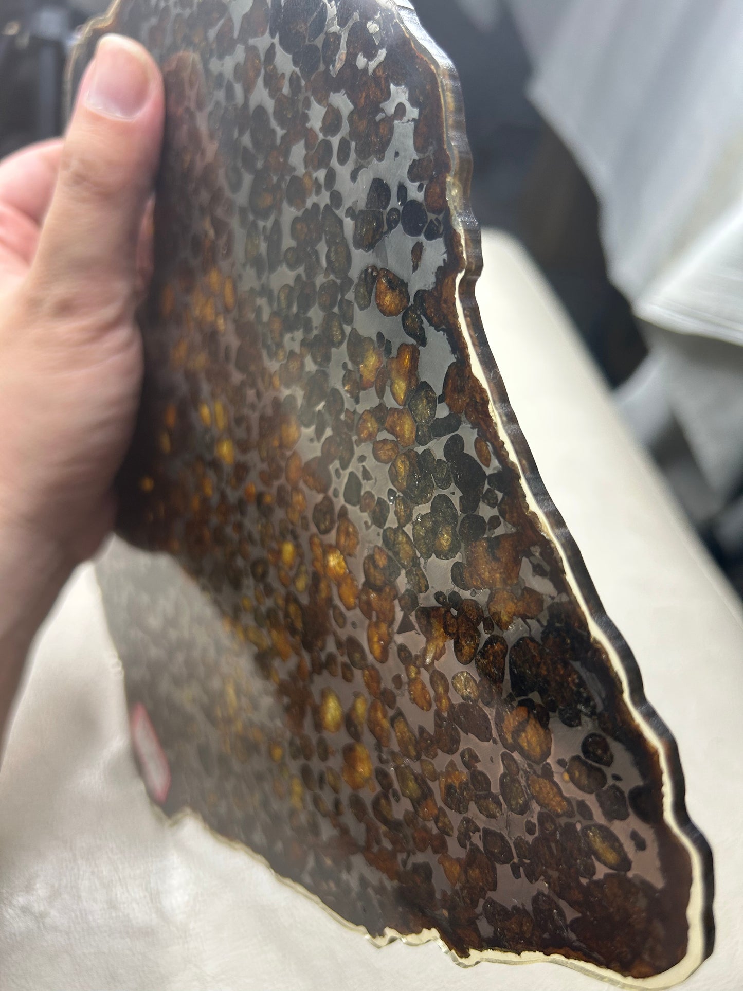 Sericho Pallasite Meteorite Slice 299g (200×220×3.5mm) — Golden Olivine “Gems in Meteorites” | Meteorite for Sale