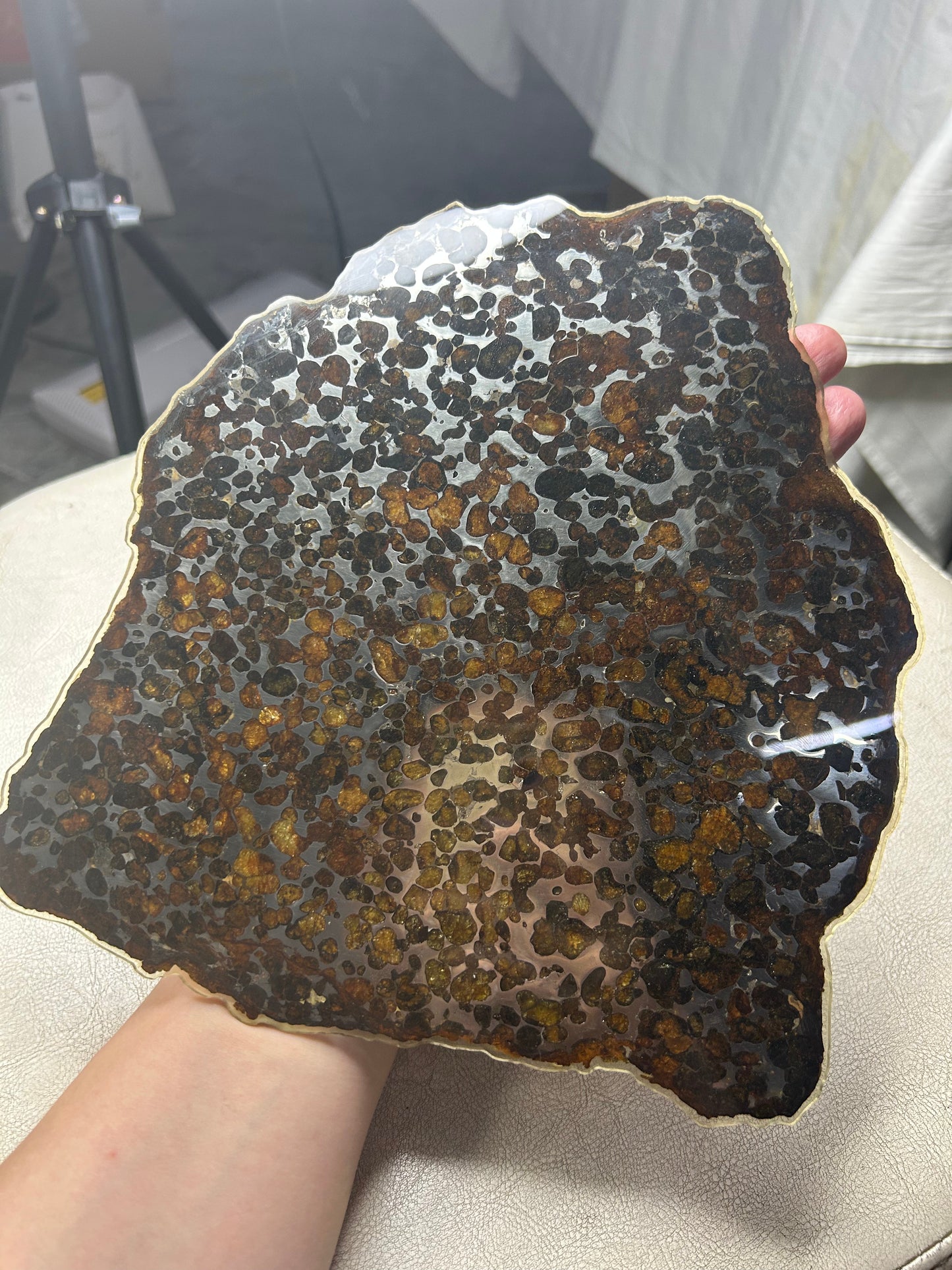 Sericho Pallasite Meteorite Slice 299g (200×220×3.5mm) — Golden Olivine “Gems in Meteorites” | Meteorite for Sale