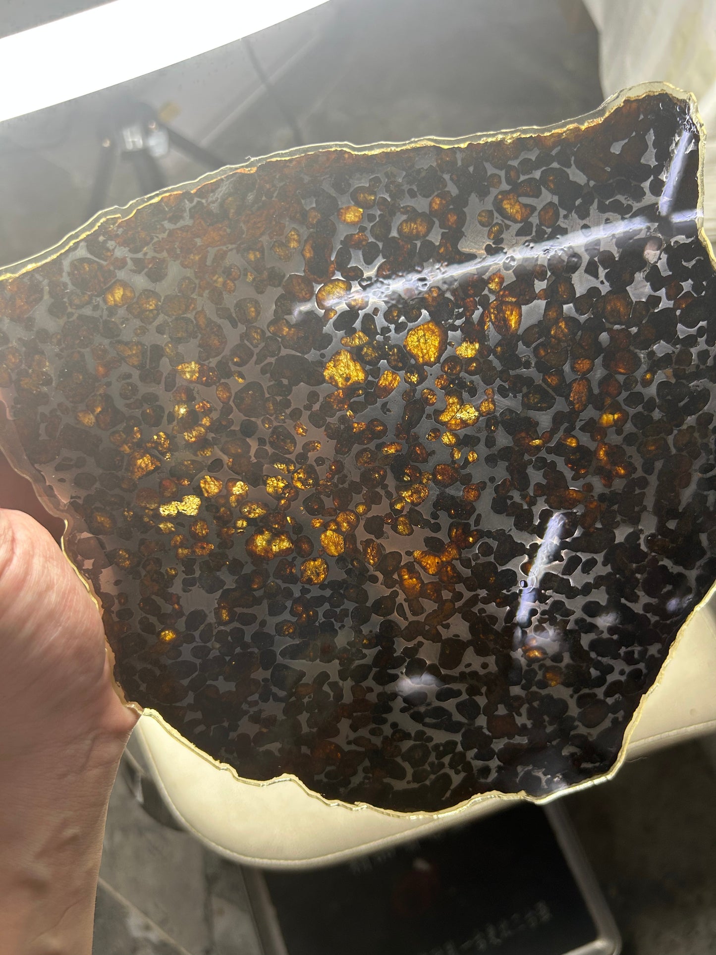 Sericho Pallasite Meteorite Slice 299g (200×220×3.5mm) — Golden Olivine “Gems in Meteorites” | Meteorite for Sale