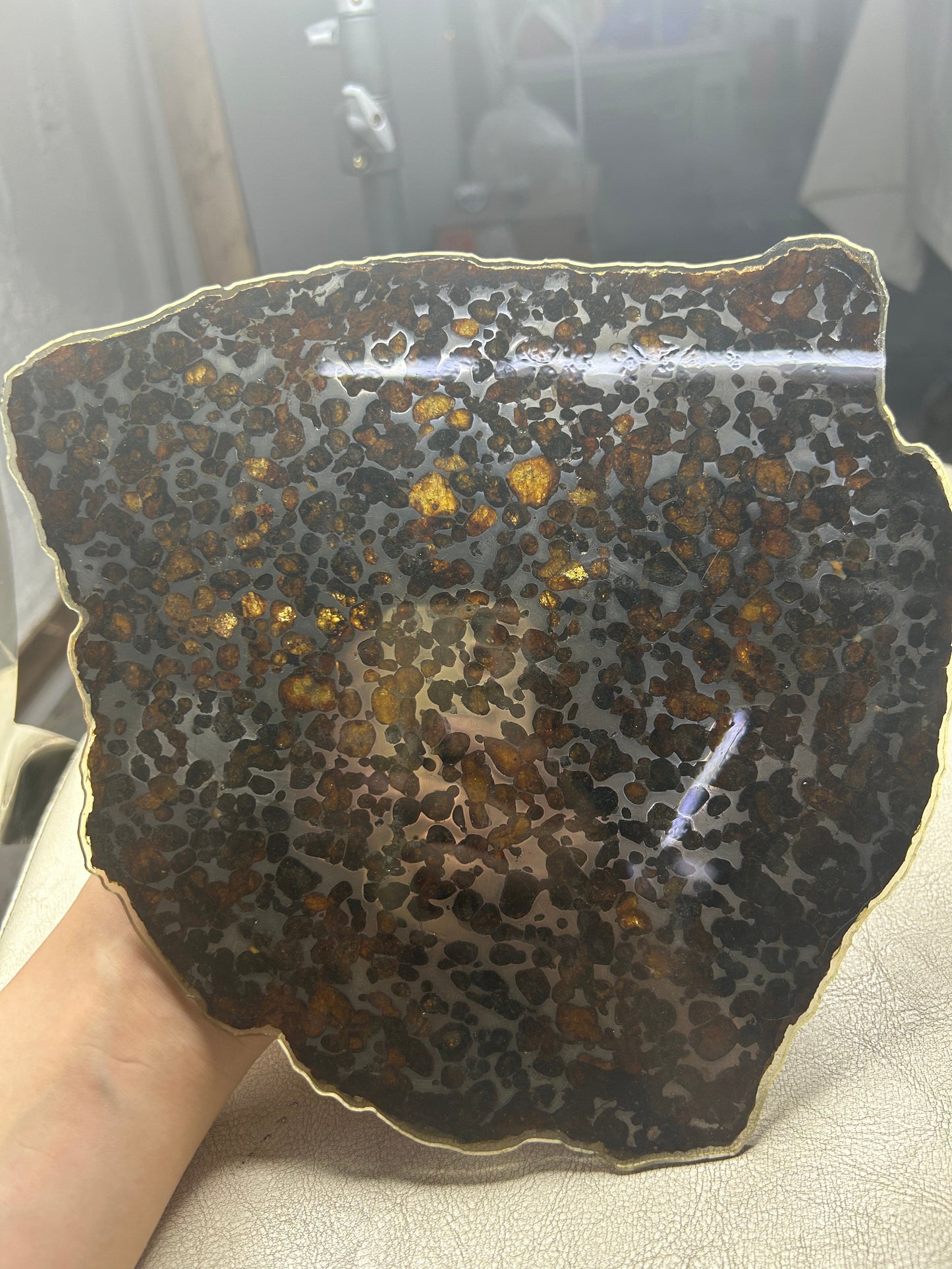 Sericho Pallasite Meteorite Slice 299g (200×220×3.5mm) — Golden Olivine “Gems in Meteorites” | Meteorite for Sale