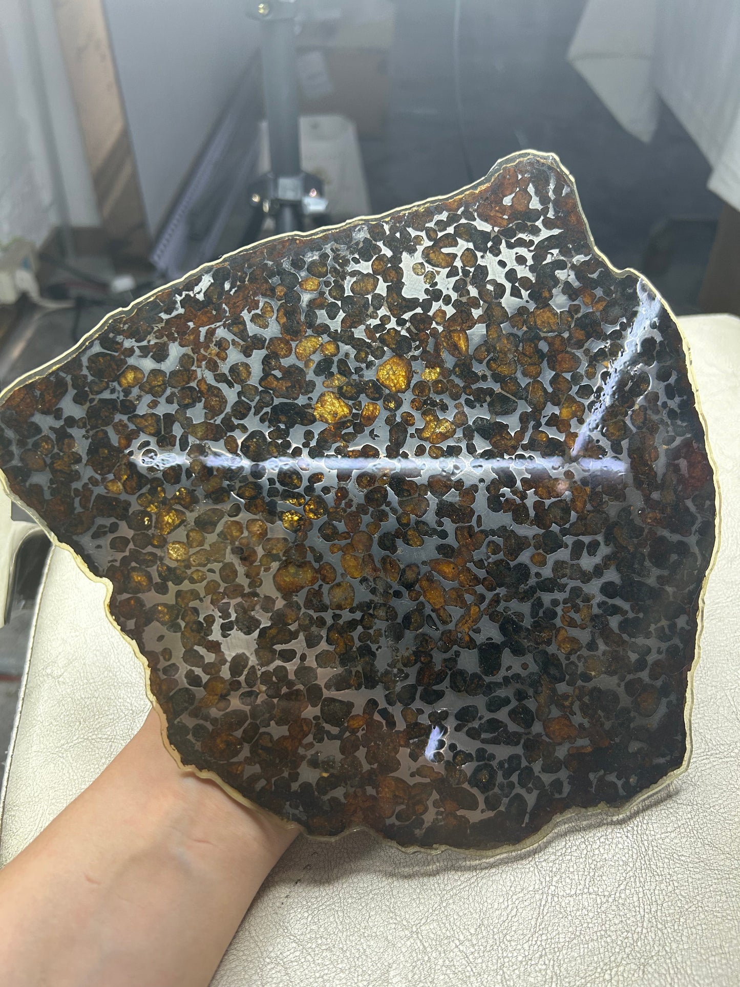 Sericho Pallasite Meteorite Slice 299g (200×220×3.5mm) — Golden Olivine “Gems in Meteorites” | Meteorite for Sale