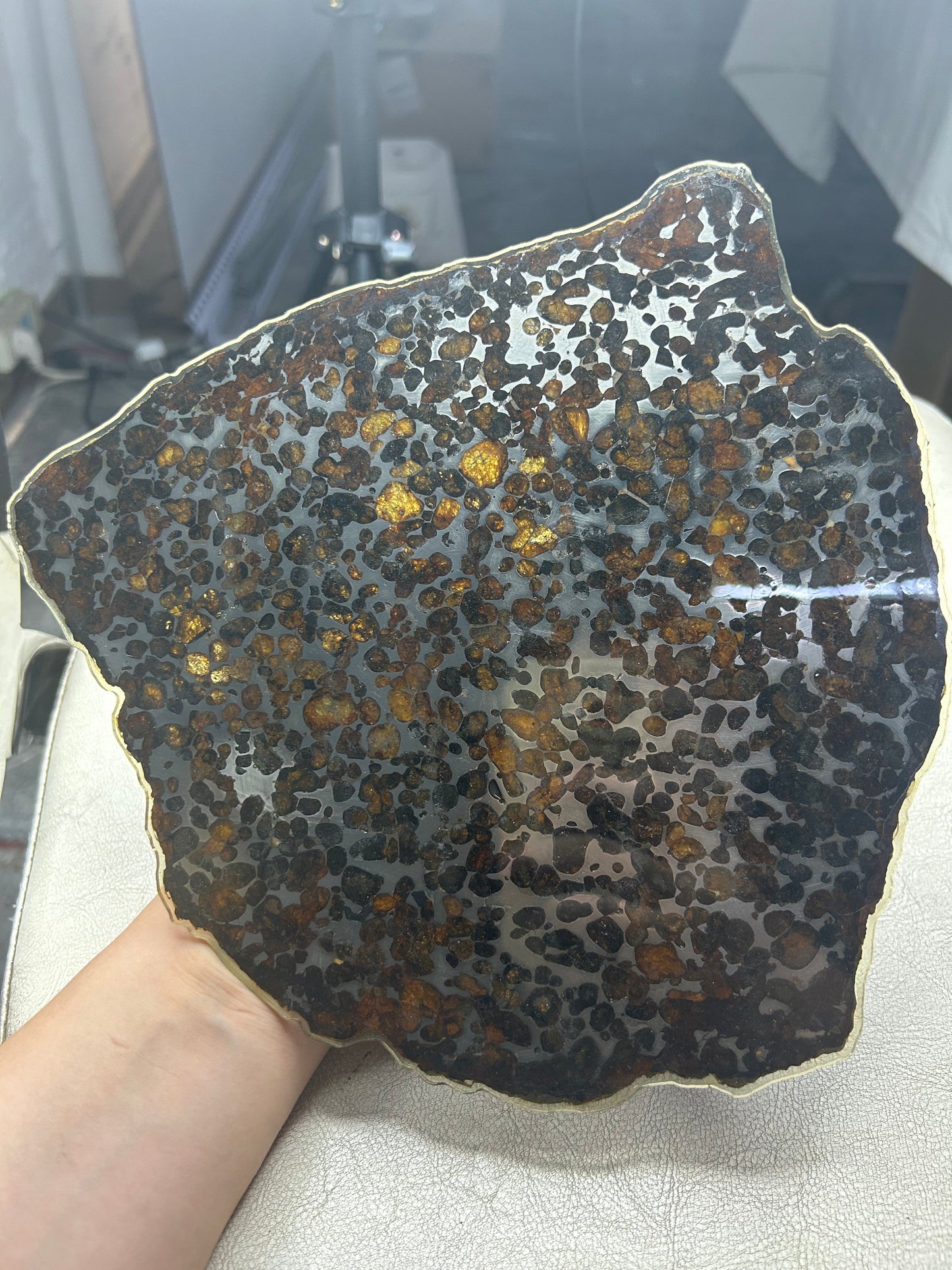 Sericho Pallasite Meteorite Slice 299g (200×220×3.5mm) — Golden Olivine “Gems in Meteorites” | Meteorite for Sale