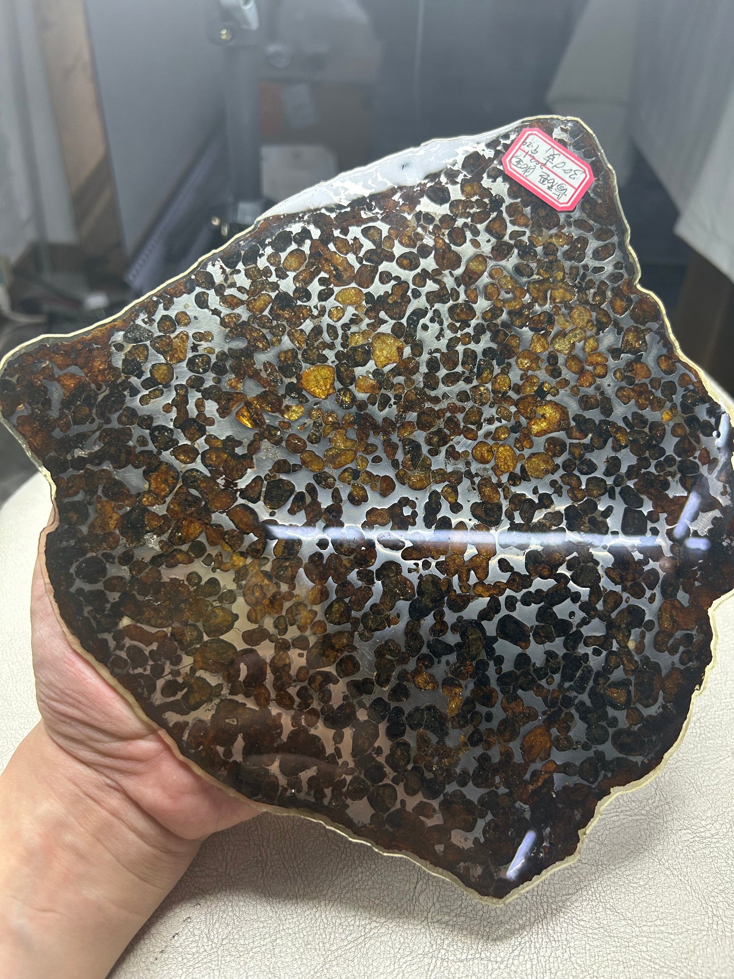 Sericho Pallasite Meteorite Slice 299g (200×220×3.5mm) — Golden Olivine “Gems in Meteorites” | Meteorite for Sale
