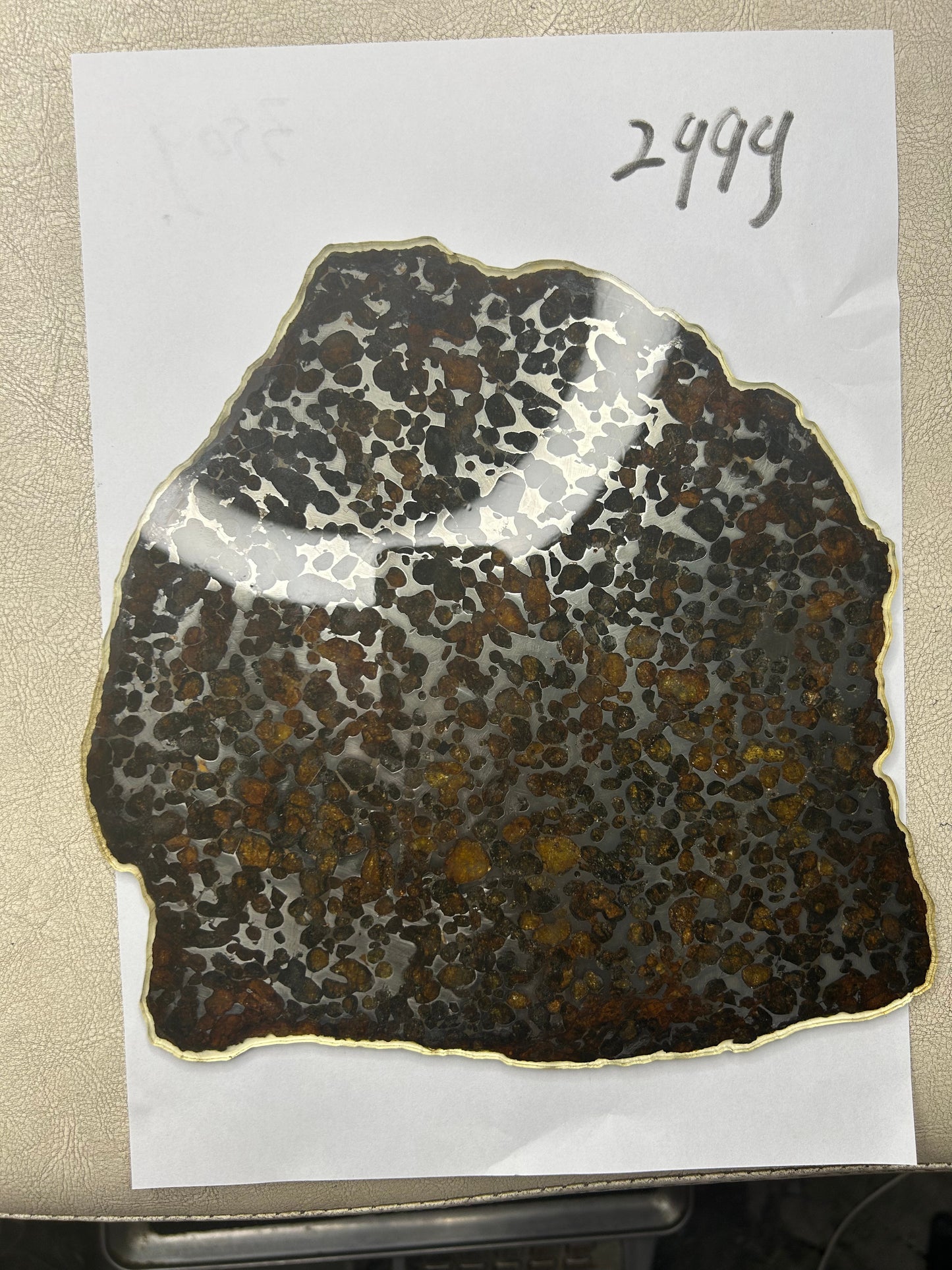 Sericho Pallasite Meteorite Slice 299g (200×220×3.5mm) — Golden Olivine “Gems in Meteorites” | Meteorite for Sale