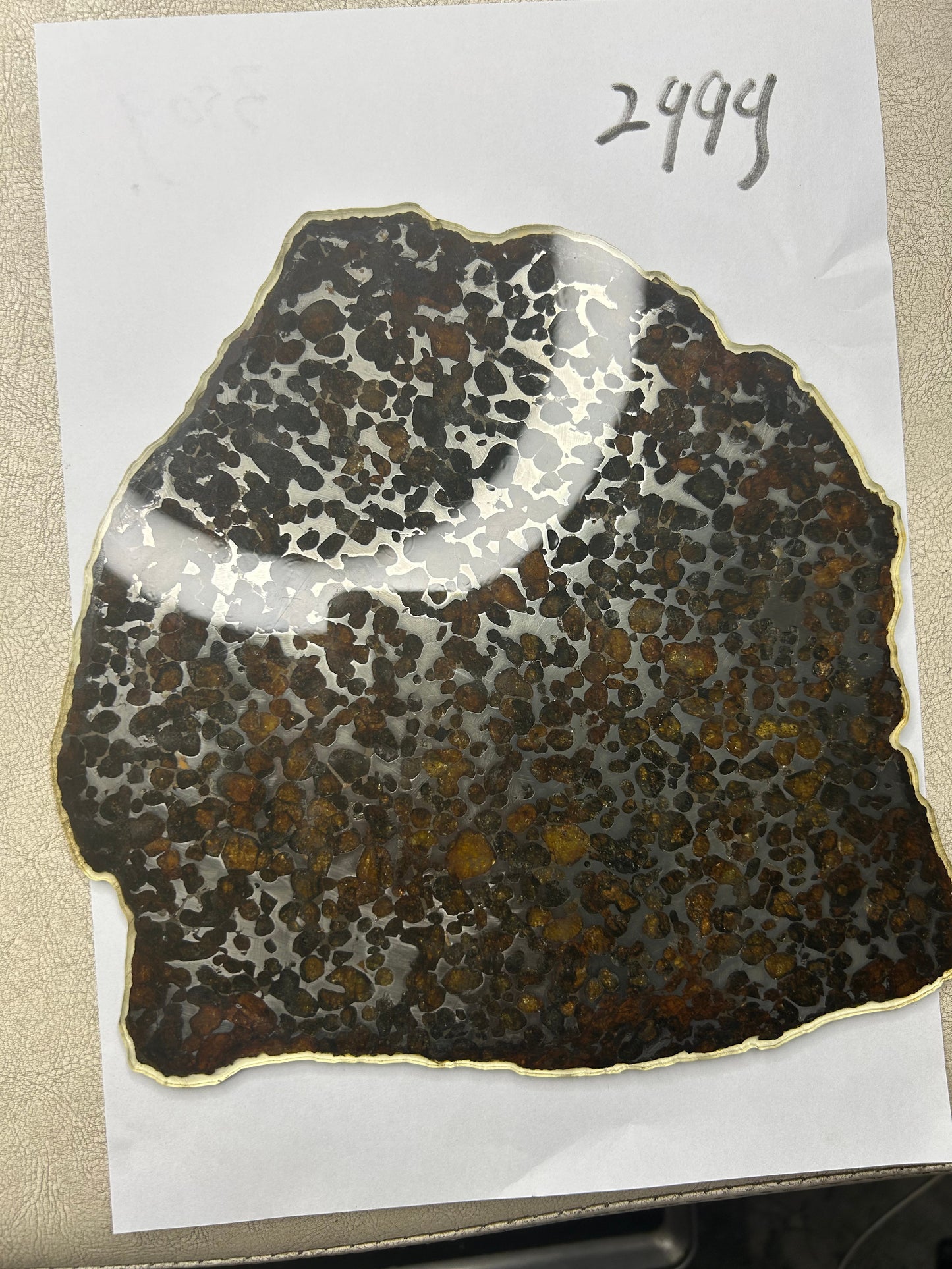 Sericho Pallasite Meteorite Slice 299g (200×220×3.5mm) — Golden Olivine “Gems in Meteorites” | Meteorite for Sale