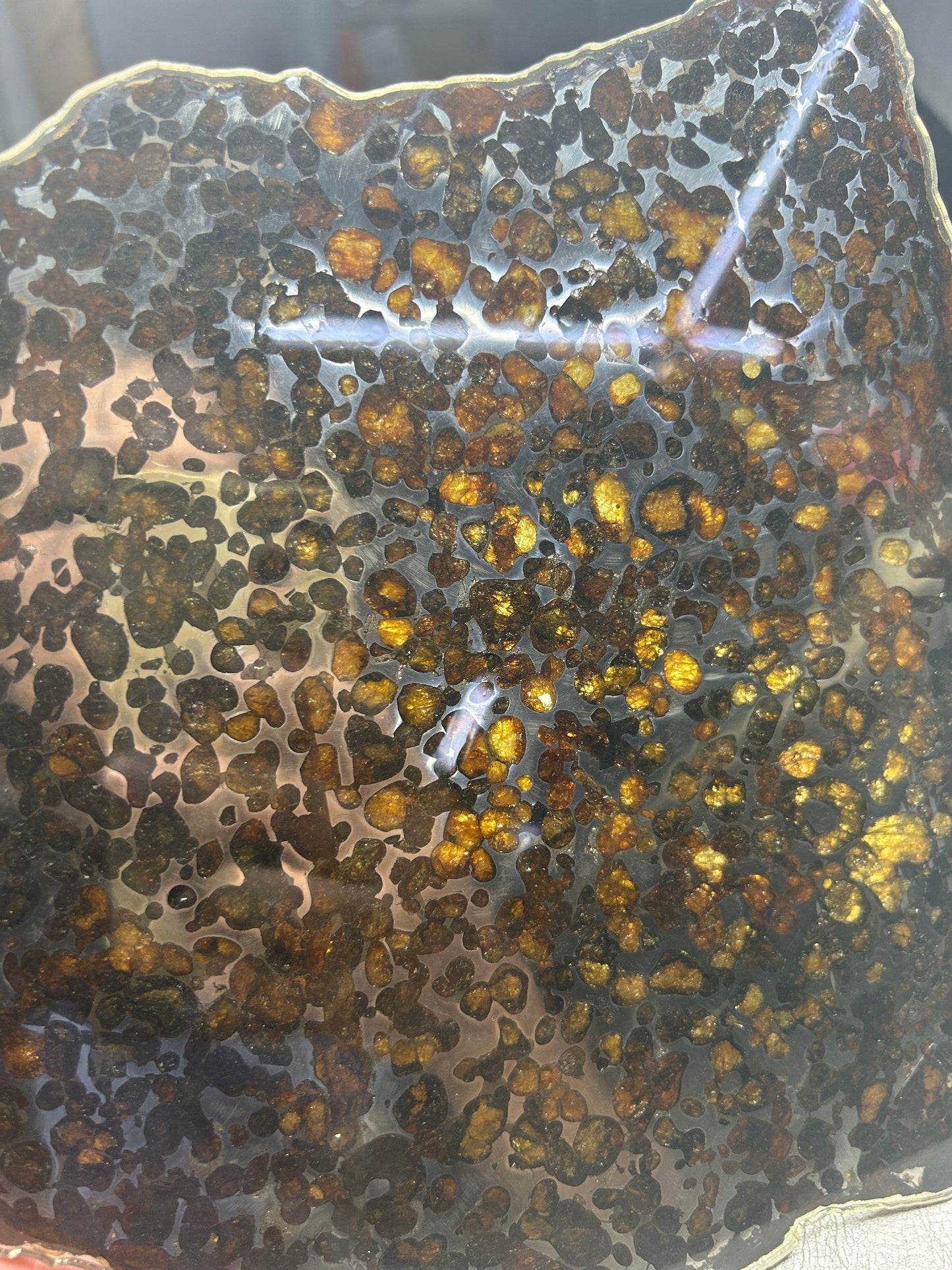 Sericho Pallasite Meteorite Slice 299g (200×220×3.5mm) — Golden Olivine “Gems in Meteorites” | Meteorite for Sale
