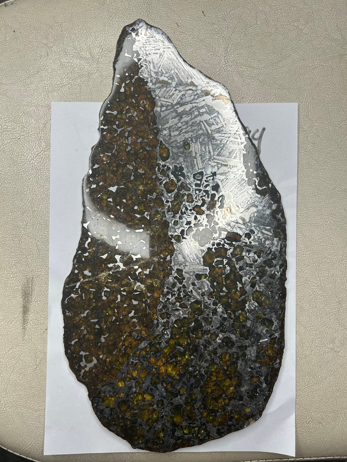 Seymchan Pallasite Meteorite Slice 1120g (200×300mm) — Top-Grade Olivine “Gems in Meteorites” | Meteorite for Sale