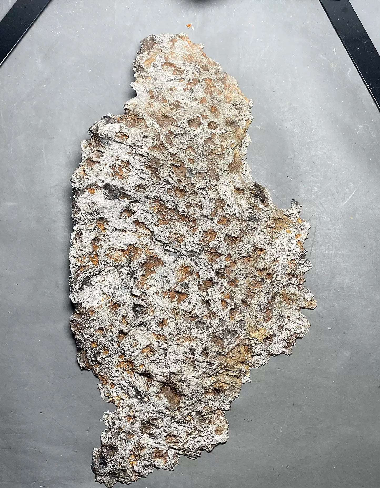 Huge Muonionalusta Meteorite End Cut Slice 2060g | Sweden Iron Nickel Meteorite | Widmanstätten Pattern Polished | Collector Specimen
