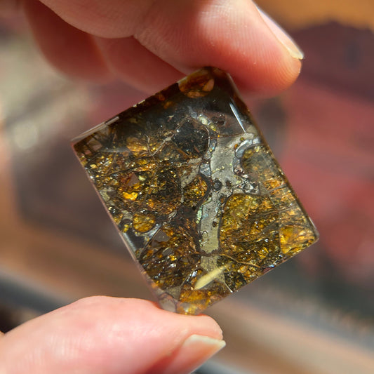 25*30mm Large Sericho Pallasite With Neon Glow/Meteorite Pendant/Pallasite Pendant/Pallasite Ornament/Pallaiste Slice/Pallasite Plaque