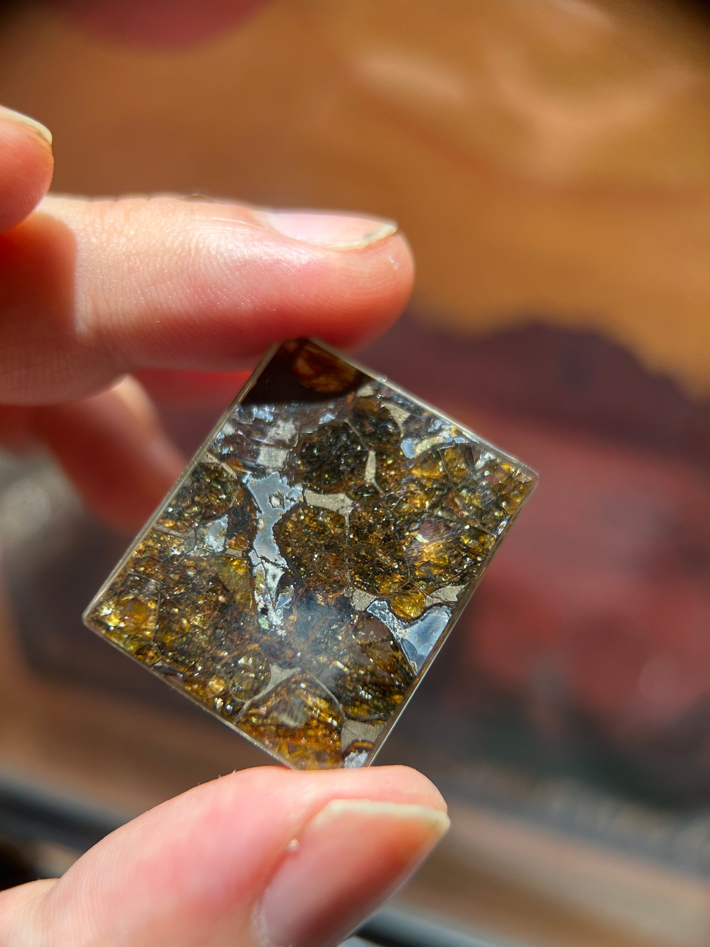 25*30mm Large Sericho Pallasite With Neon Glow/Meteorite Pendant/Pallasite Pendant/Pallasite Ornament/Pallaiste Slice/Pallasite Plaque