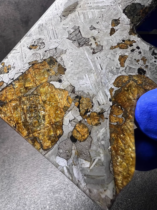 Last Remaining Aletai Pallasite Meteorite Slice – 94.5g Ultra Rare Collectible