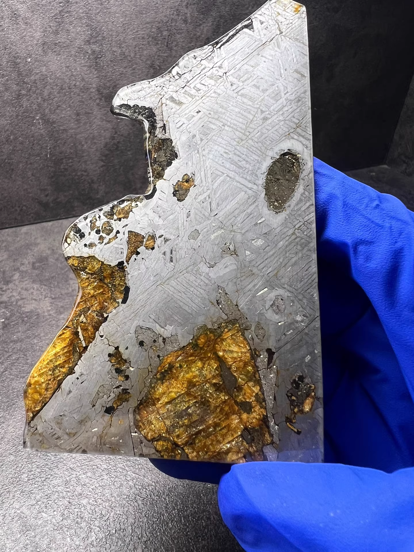 Last Remaining Aletai Pallasite Meteorite Slice – 94.5g Ultra Rare Collectible