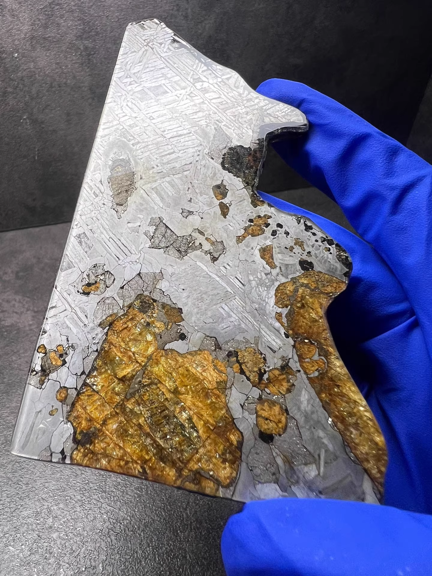Last Remaining Aletai Pallasite Meteorite Slice – 94.5g Ultra Rare Collectible