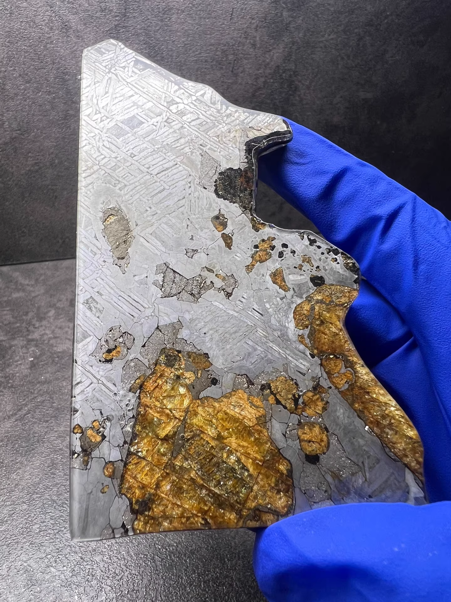 Last Remaining Aletai Pallasite Meteorite Slice – 94.5g Ultra Rare Collectible