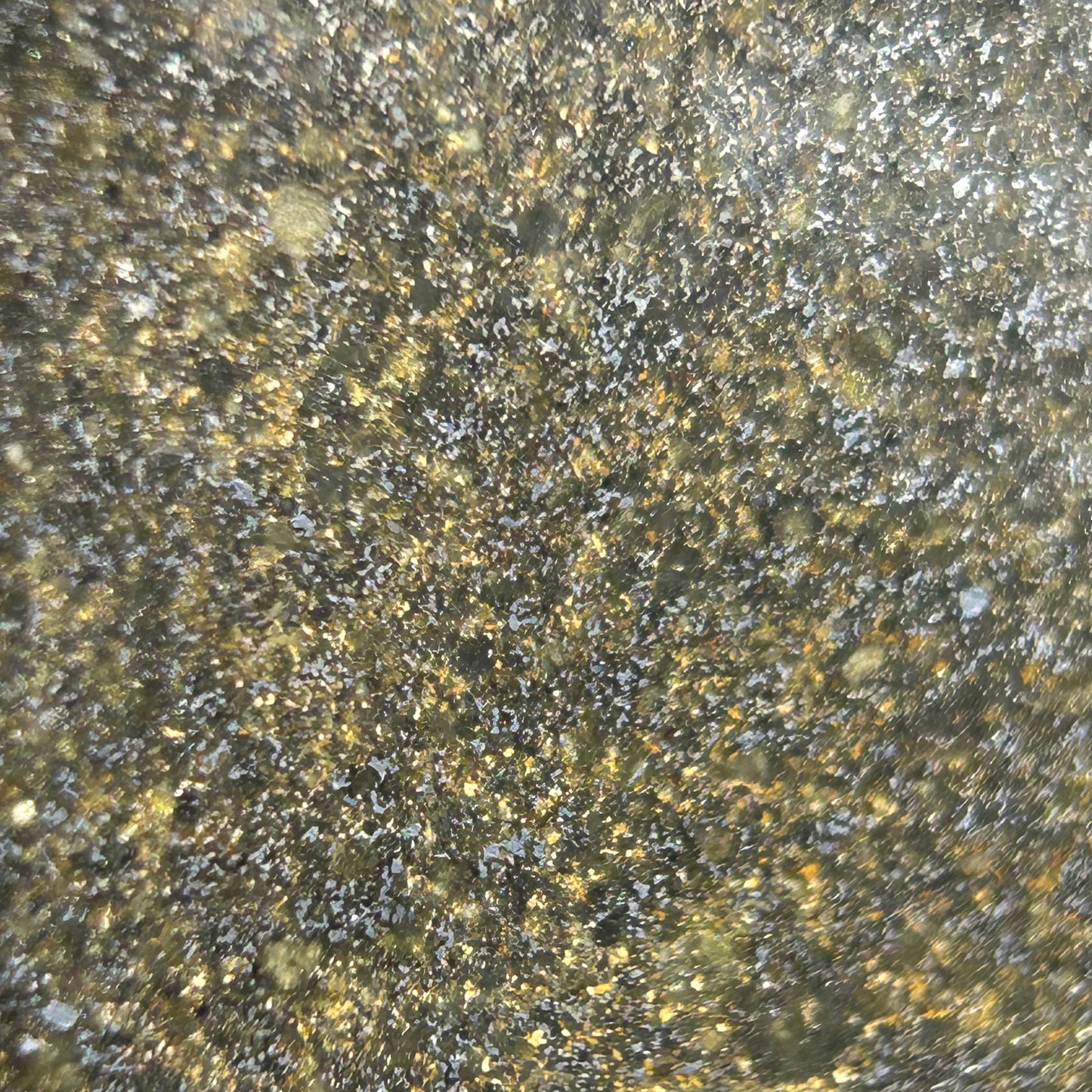 Authentic NWA 16419 Chondrite Meteorite Plaque