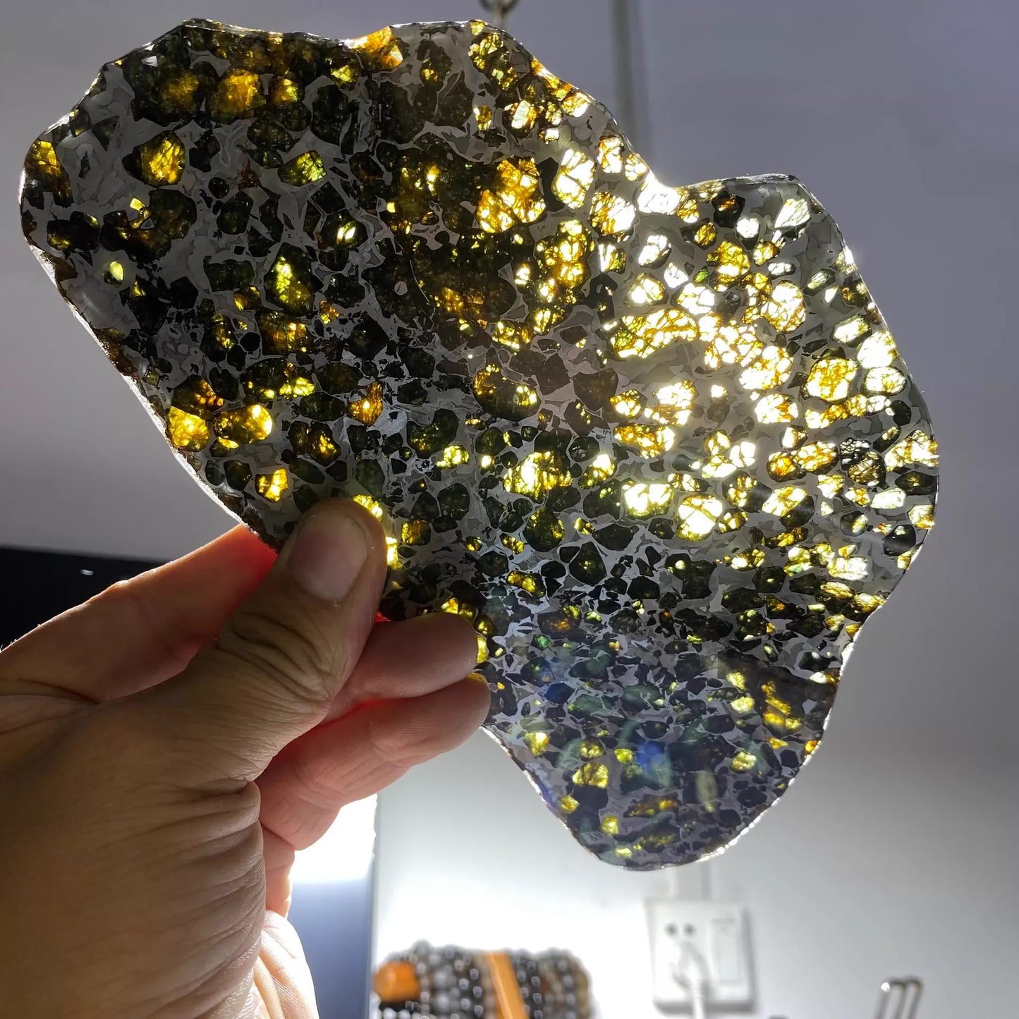Seymchan Pallasite Meteorite Slice – Imperial Green Olivine Collector’s Piece
