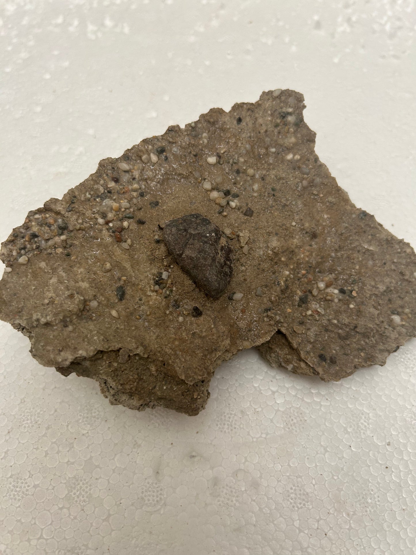 Authentic Meteorite Scatter Field Display Specimen, Meteorite Crater from Qinghai, China