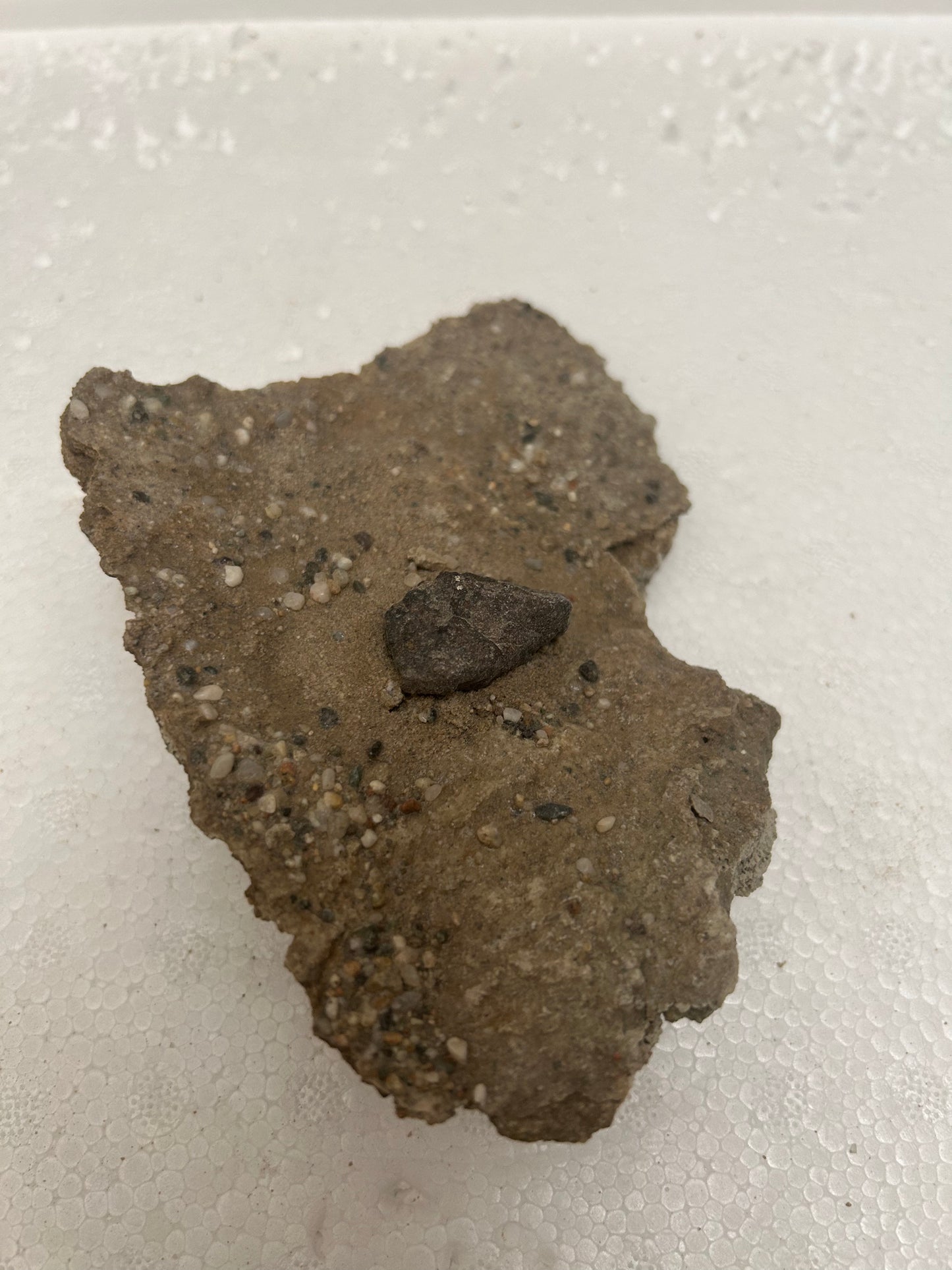 Authentic Meteorite Scatter Field Display Specimen, Meteorite Crater from Qinghai, China