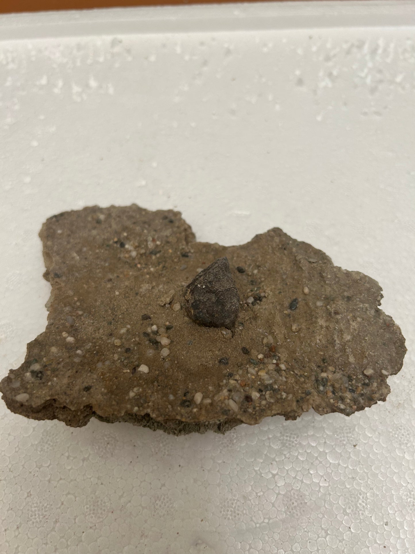 Authentic Meteorite Scatter Field Display Specimen, Meteorite Crater from Qinghai, China