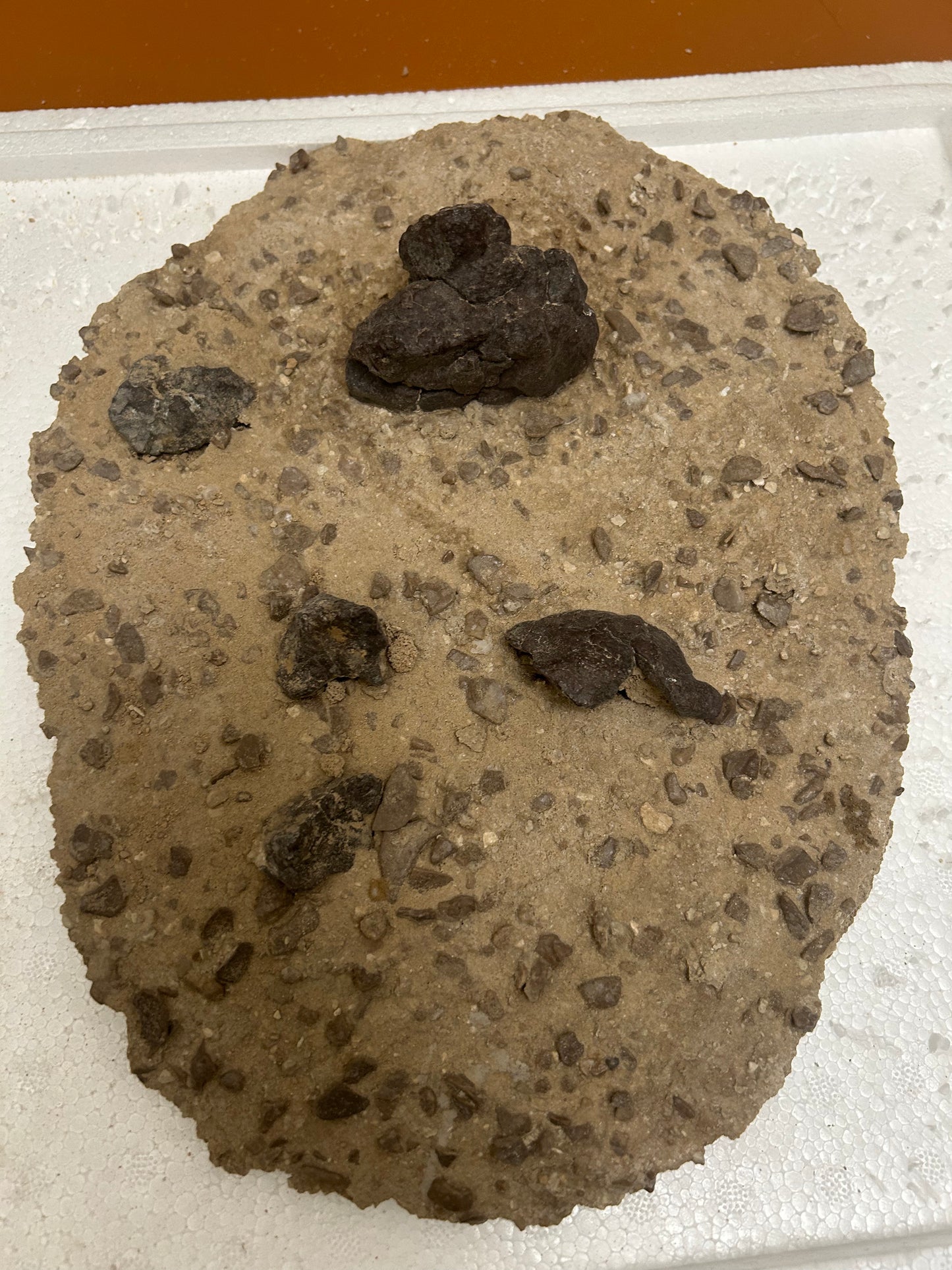 Authentic Meteorite Scatter Field Display Specimen, Meteorite Crater from Qinghai, China