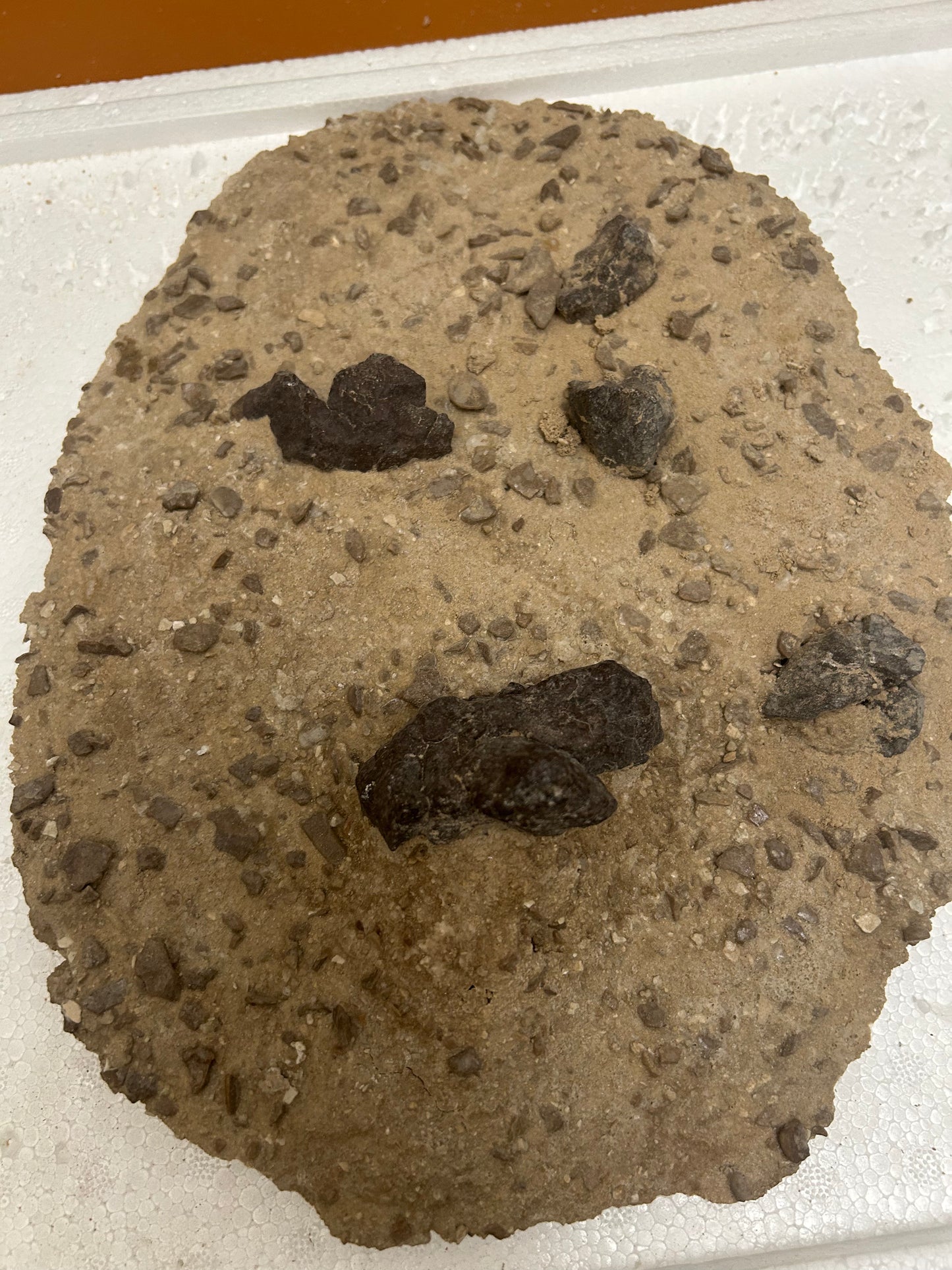 Authentic Meteorite Scatter Field Display Specimen, Meteorite Crater from Qinghai, China