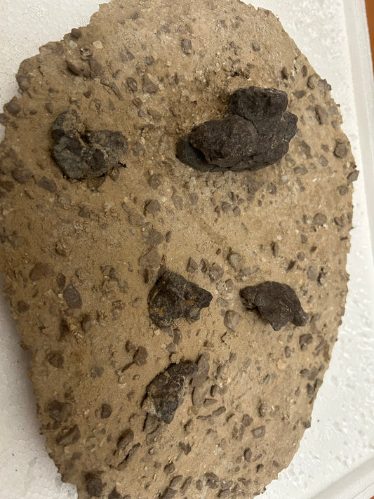 Authentic Meteorite Scatter Field Display Specimen, Meteorite Crater from Qinghai, China