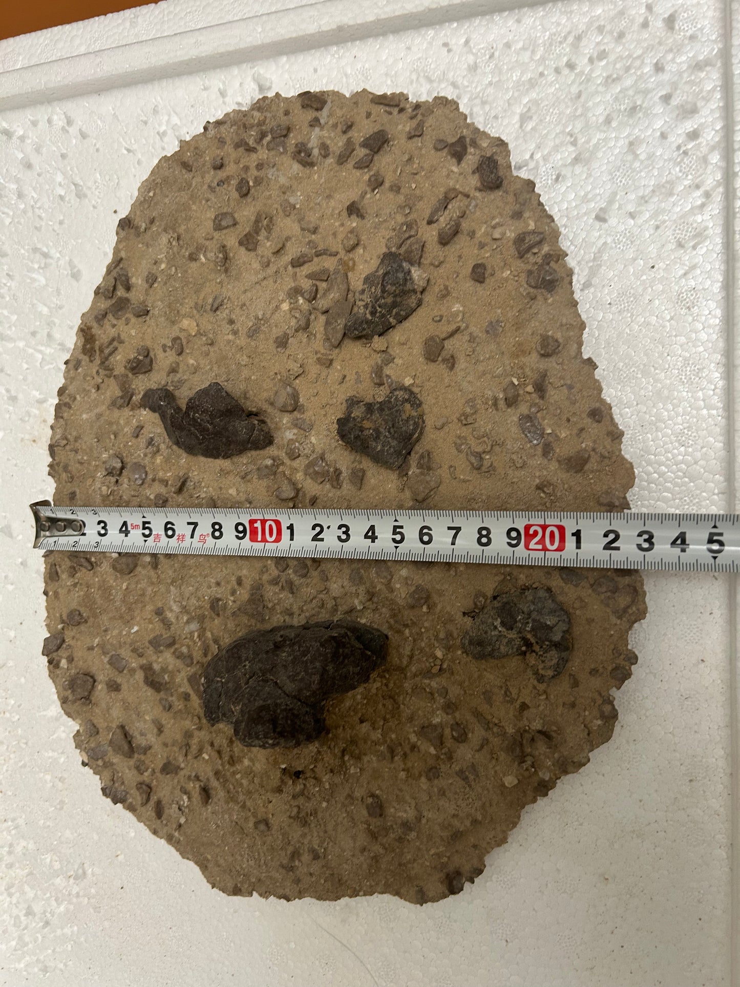 Authentic Meteorite Scatter Field Display Specimen, Meteorite Crater from Qinghai, China