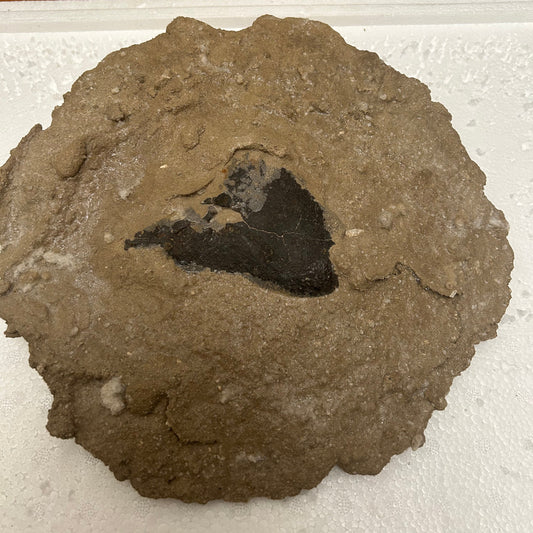 Authentic Meteorite Scatter Field Display Specimen, Meteorite Crater Specimen from Qinghai, China