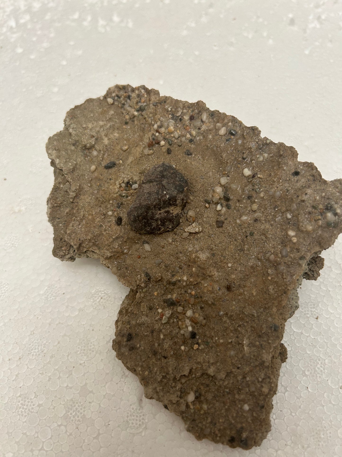 Authentic Meteorite Scatter Field Display Specimen, Meteorite Crater from Qinghai, China