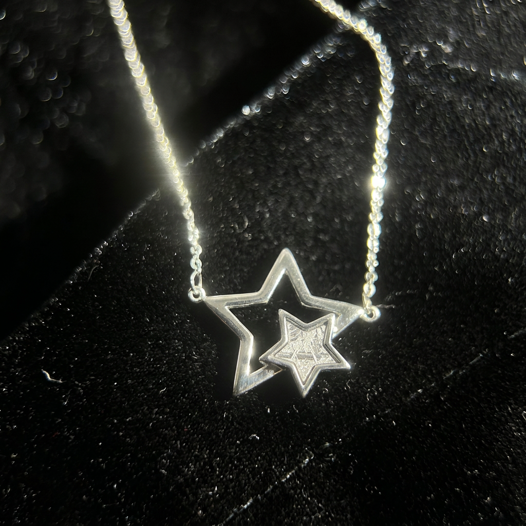 Muonionalusta Meteorite Inlay Star Pendant Necklace (925 Silver Setting) | 20×22×4mm