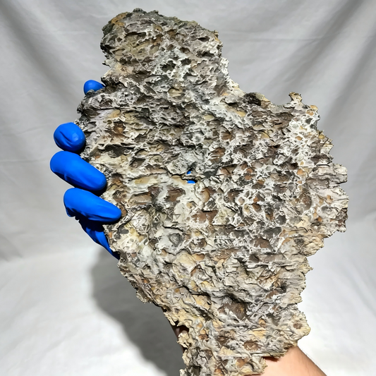 Huge Muonionalusta Meteorite End Cut Slice 2060g | Sweden Iron Nickel Meteorite | Widmanstätten Pattern Polished | Collector Specimen