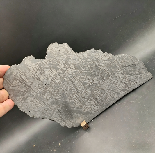 Muonionalusta Iron Meteorite Slab, Widmanstätten Patterns, Collector Specimen, 256mm Slice