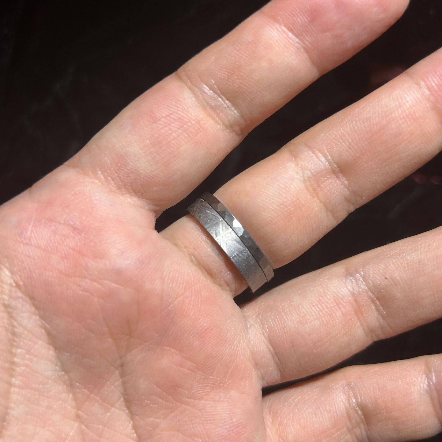 Top Muonionalusta Meteorite Ring Set | Titanium Band Set | Widmanstätten pattern Meteorite Jewelry