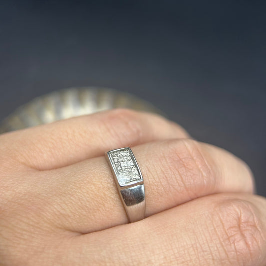 Galaxy Muonionalusta Meteorite Ring,Adjustable Sterling Silver Ring,Architectural Design, Unique Gift