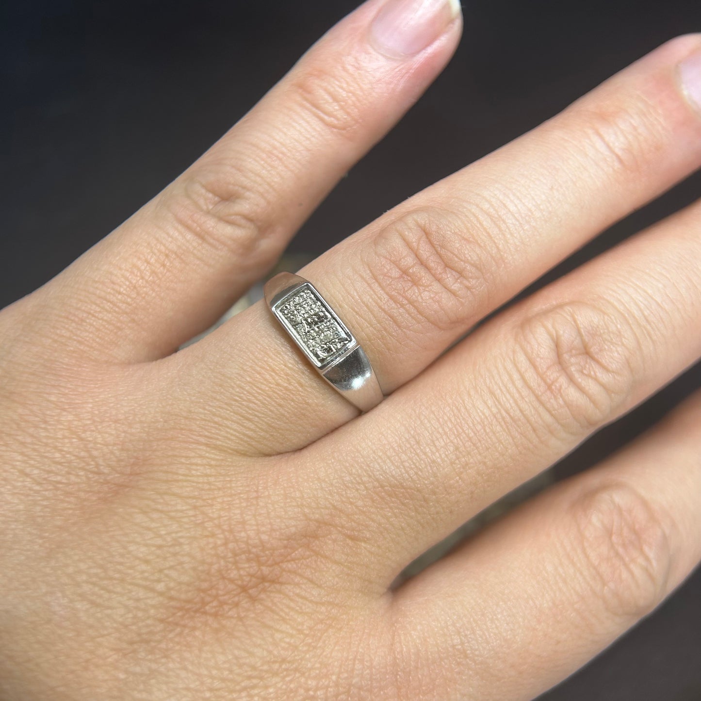 Galaxy Muonionalusta Meteorite Ring,Adjustable Sterling Silver Ring,Architectural Design, Unique Gift