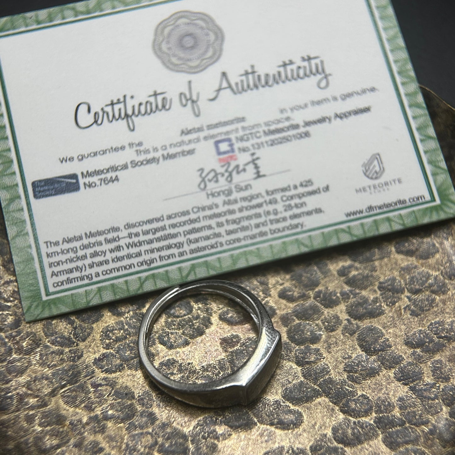 Galaxy Muonionalusta Meteorite Ring,Adjustable Sterling Silver Ring,Architectural Design, Unique Gift
