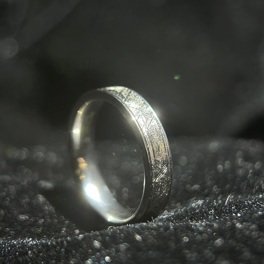 Top Muonionalusta Meteorite Ring Set | Titanium Band Set | Widmanstätten pattern Meteorite Jewelry