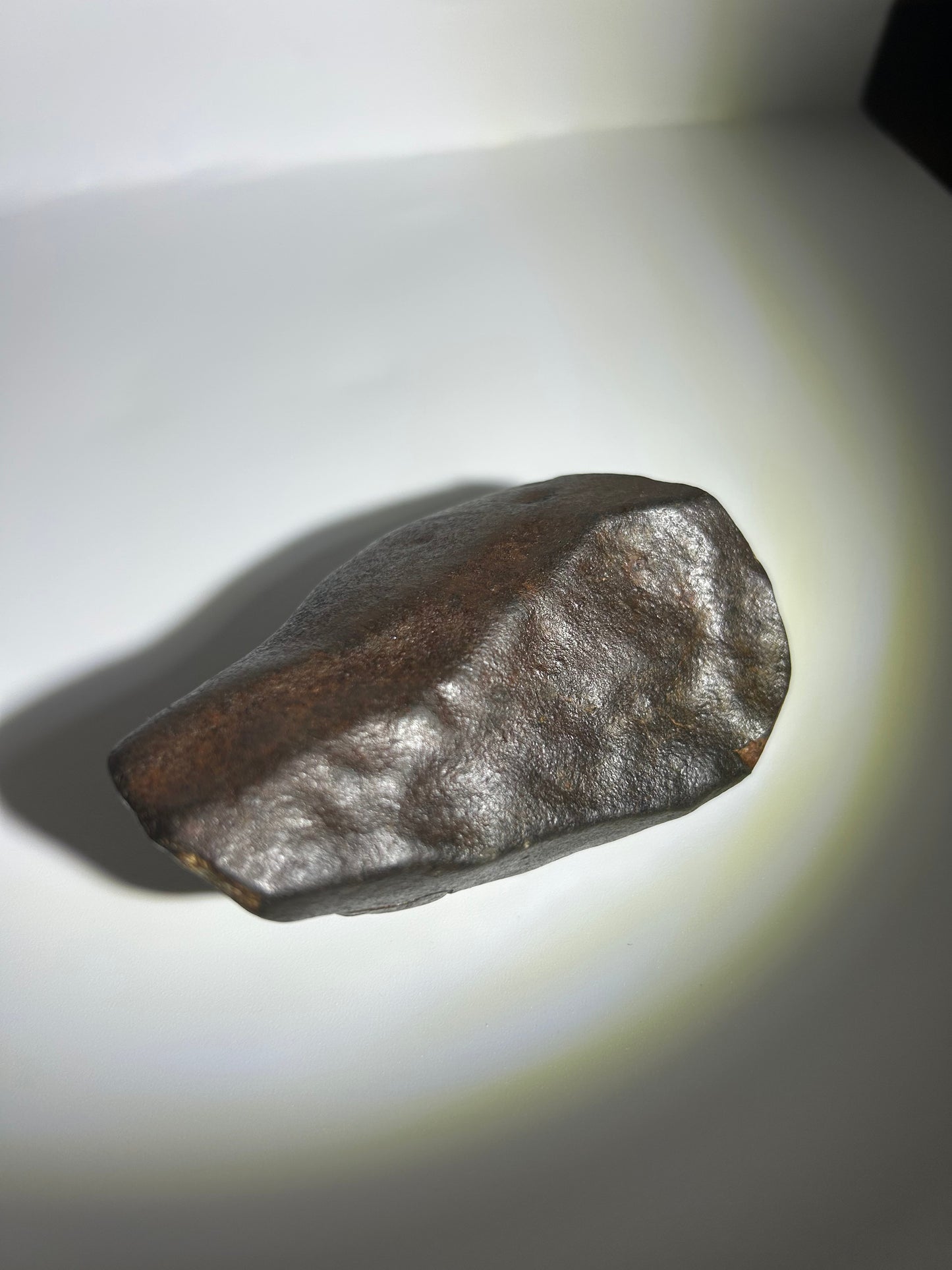 NWA 869 Chondrite Meteorite Carving — “Cosmic Beard” Eldritch-Inspired Sculpture | Cthulhu gift(390g)
