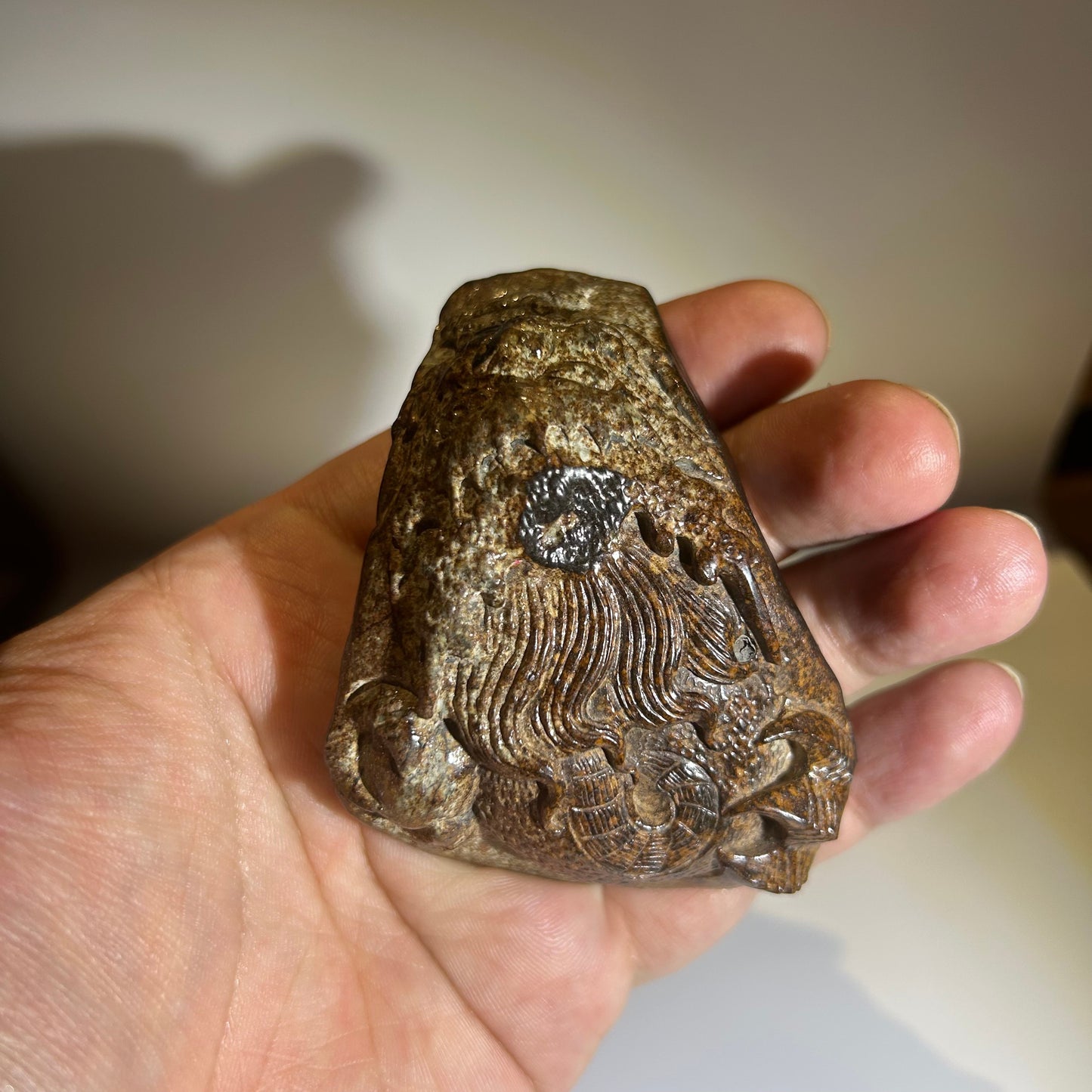NWA 869 Chondrite Meteorite Carving — “Cosmic Beard” Eldritch-Inspired Sculpture | Cthulhu gift(390g)