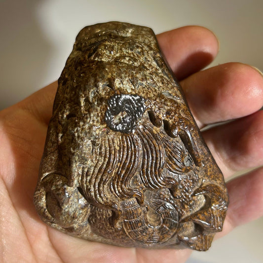 NWA 869 Chondrite Meteorite Carving — “Cosmic Beard” Eldritch-Inspired Sculpture | Cthulhu gift(390g)