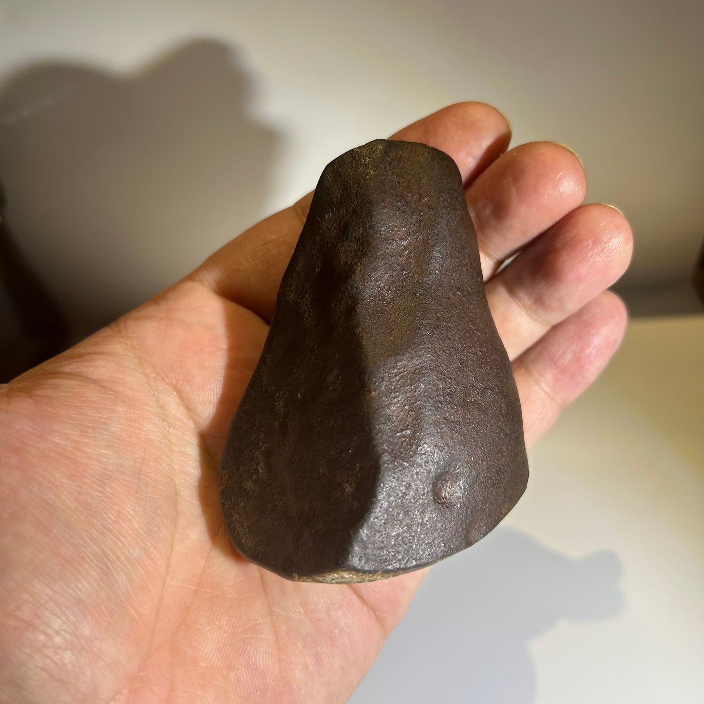 NWA 869 Chondrite Meteorite Carving — “Cosmic Beard” Eldritch-Inspired Sculpture | Cthulhu gift(390g)