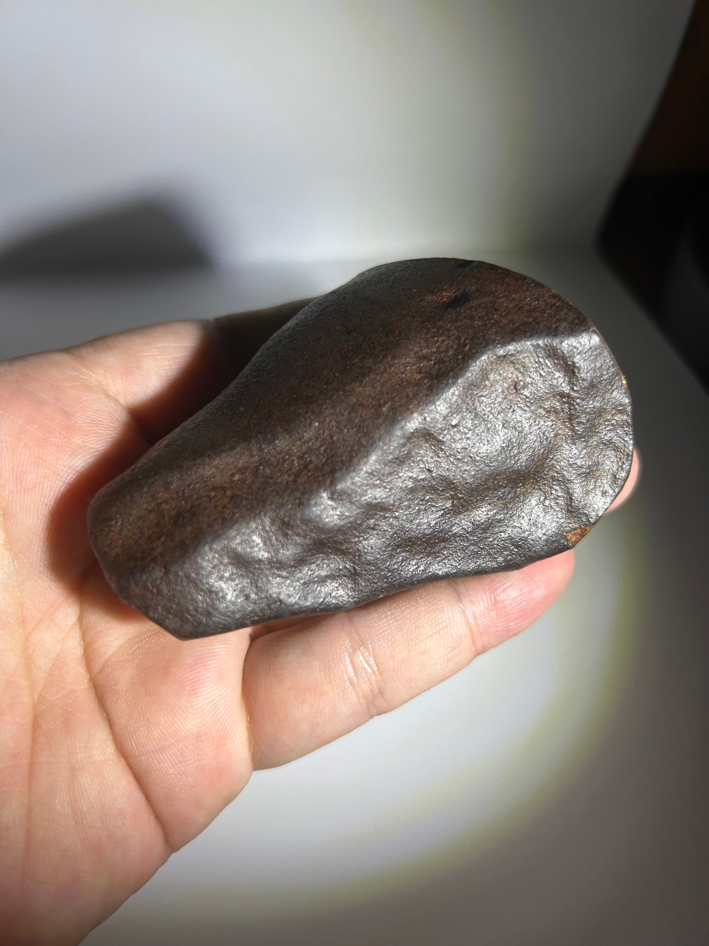 NWA 869 Chondrite Meteorite Carving — “Cosmic Beard” Eldritch-Inspired Sculpture | Cthulhu gift(390g)