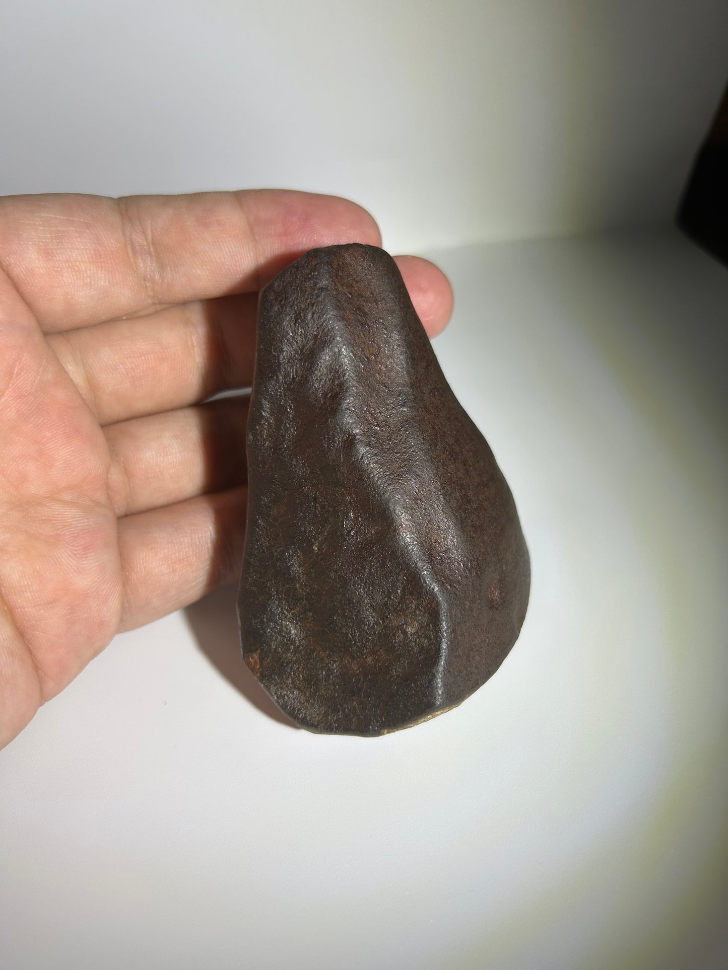 NWA 869 Chondrite Meteorite Carving — “Cosmic Beard” Eldritch-Inspired Sculpture | Cthulhu gift(390g)