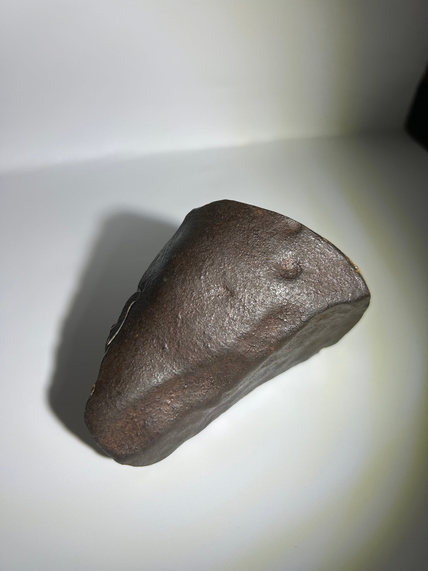 NWA 869 Chondrite Meteorite Carving — “Cosmic Beard” Eldritch-Inspired Sculpture | Cthulhu gift(390g)