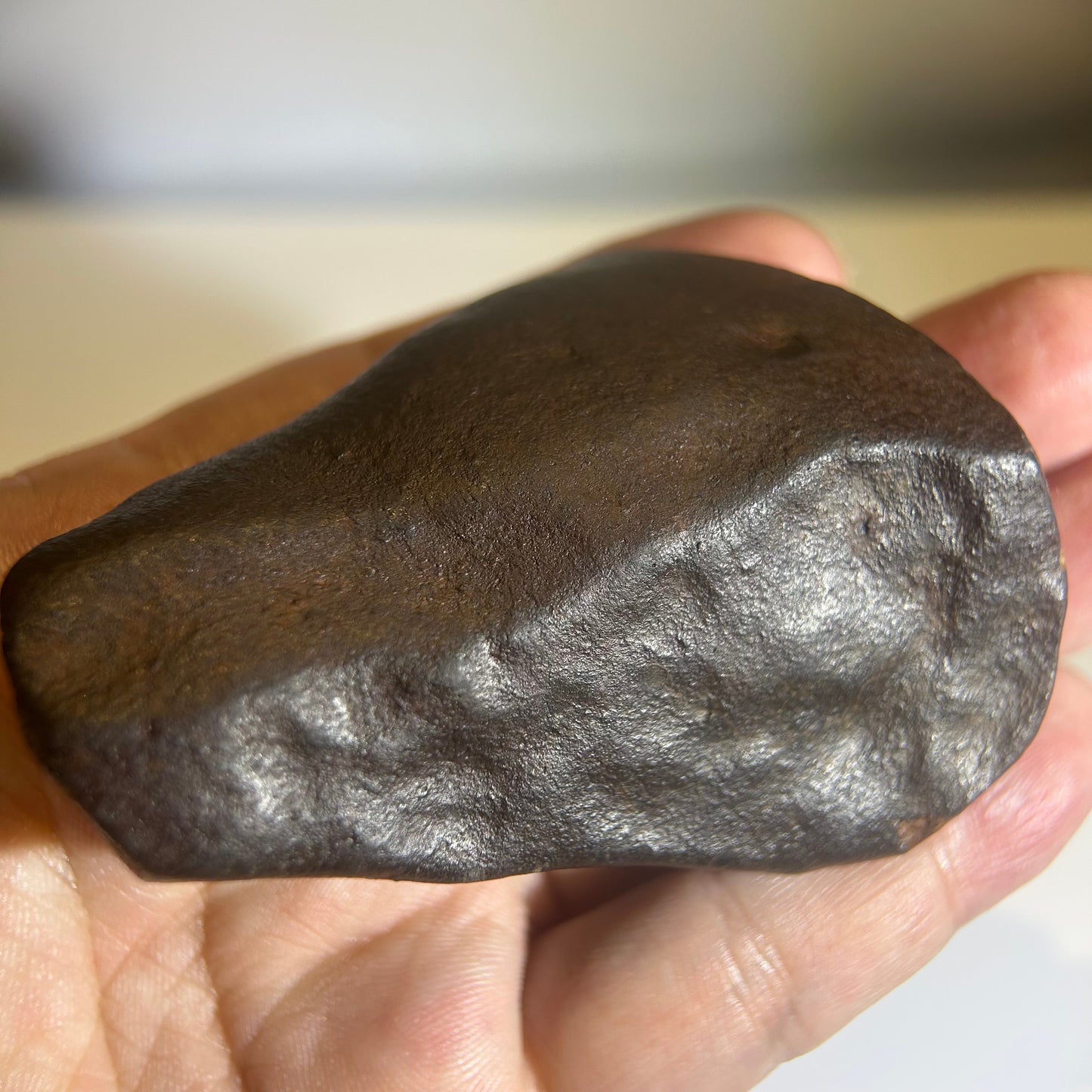 NWA 869 Chondrite Meteorite Carving — “Cosmic Beard” Eldritch-Inspired Sculpture | Cthulhu gift(390g)