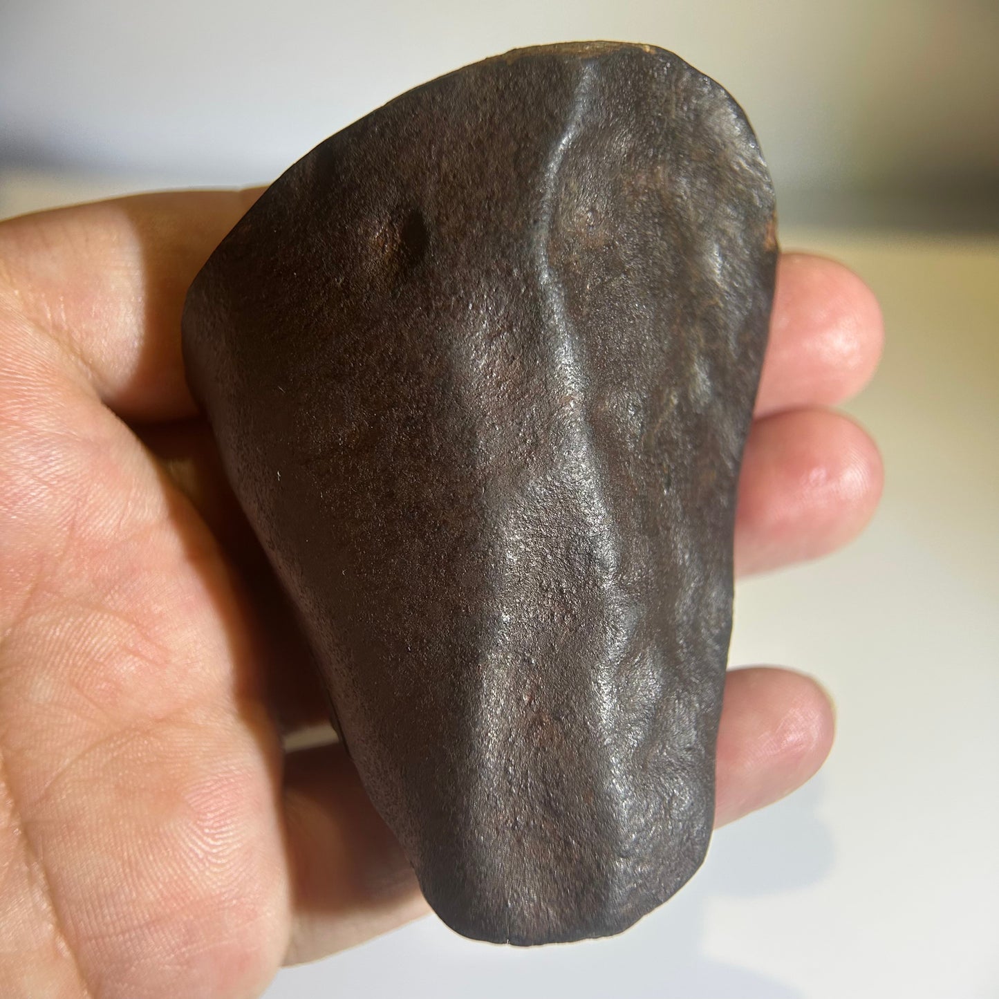 NWA 869 Chondrite Meteorite Carving — “Cosmic Beard” Eldritch-Inspired Sculpture | Cthulhu gift(390g)