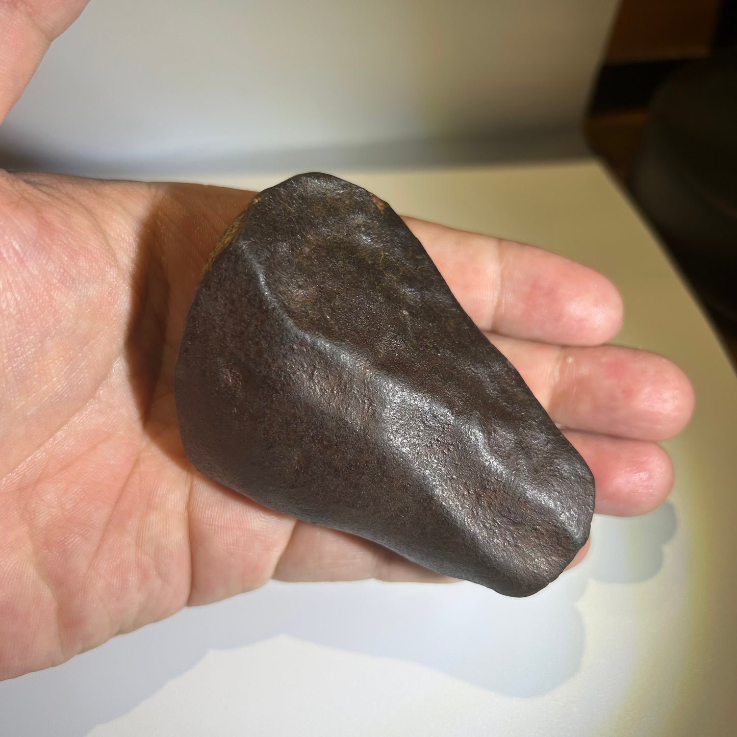 NWA 869 Chondrite Meteorite Carving — “Cosmic Beard” Eldritch-Inspired Sculpture | Cthulhu gift(390g)