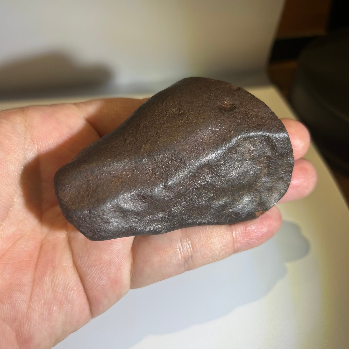NWA 869 Chondrite Meteorite Carving — “Cosmic Beard” Eldritch-Inspired Sculpture | Cthulhu gift(390g)